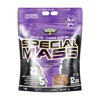 Special Mass Gainer 5430 г