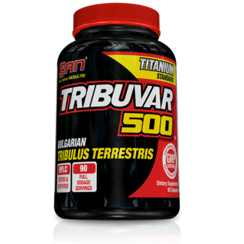 ge-cache-data-SAN-san-tribuvar-500-600x600-1000x1340