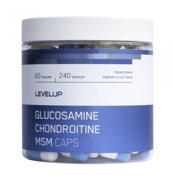 glucosamine chondroitin msm 240 капс